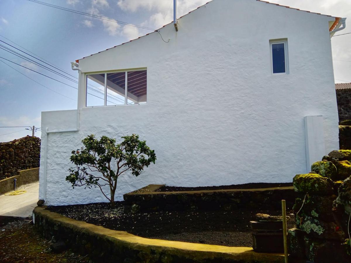 Casa Do Marcelino Lagarto Βίλα São Roque do Pico Εξωτερικό φωτογραφία