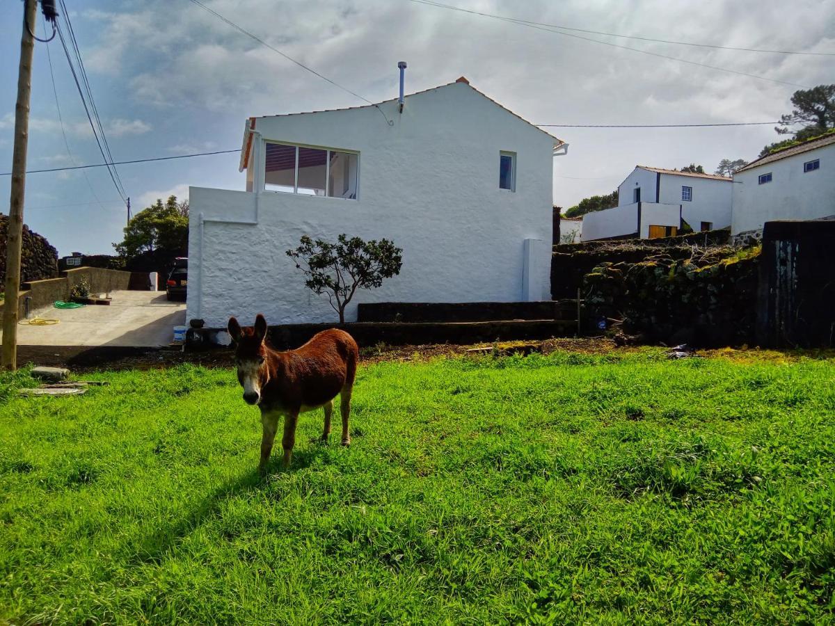 Casa Do Marcelino Lagarto Βίλα São Roque do Pico Εξωτερικό φωτογραφία