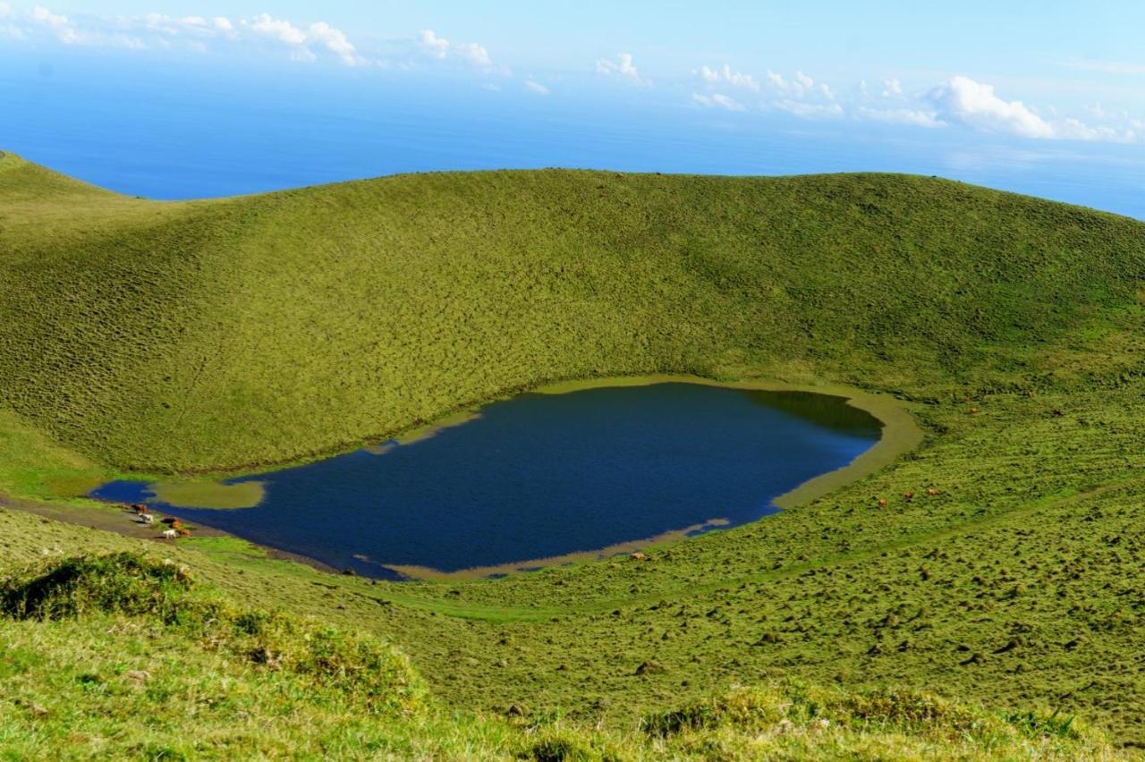 Casa Do Marcelino Lagarto Βίλα São Roque do Pico Εξωτερικό φωτογραφία