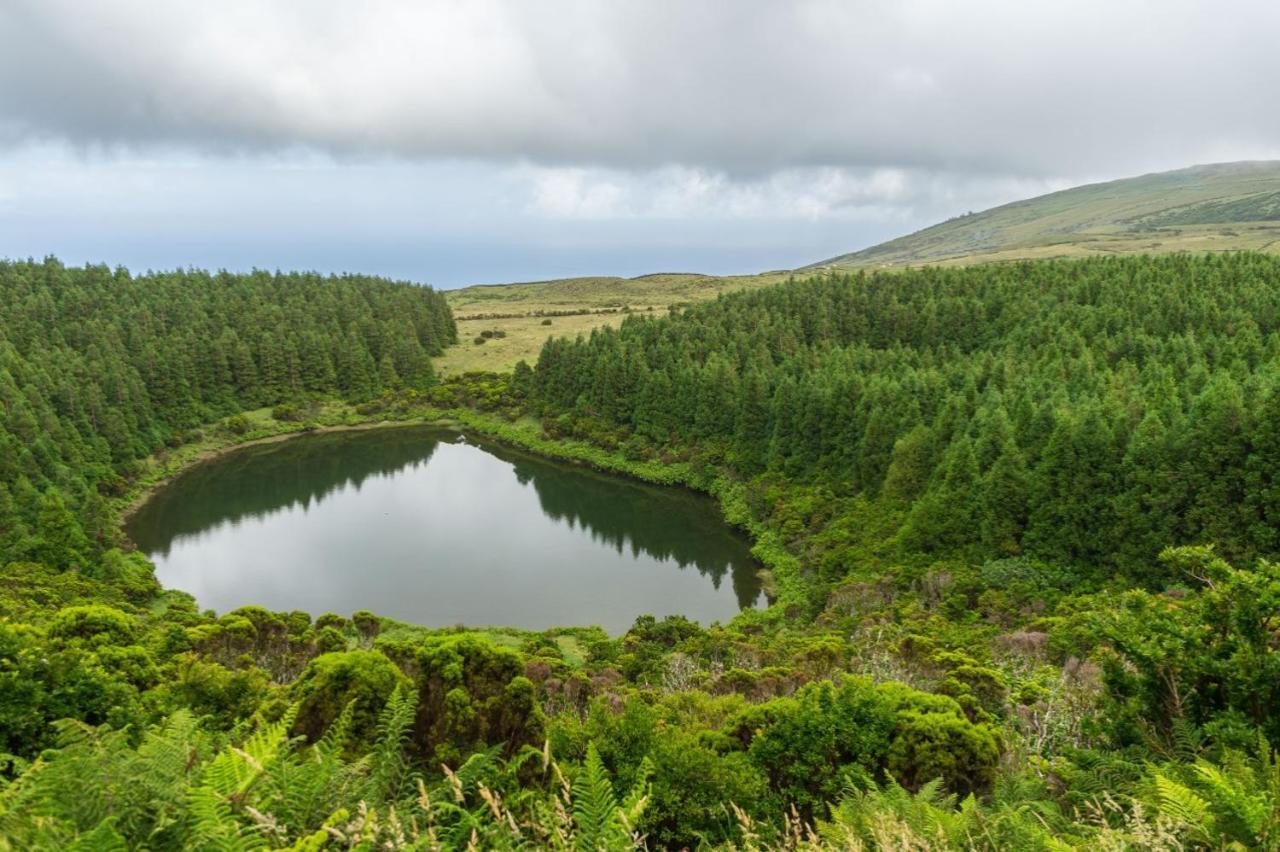 Casa Do Marcelino Lagarto Βίλα São Roque do Pico Εξωτερικό φωτογραφία