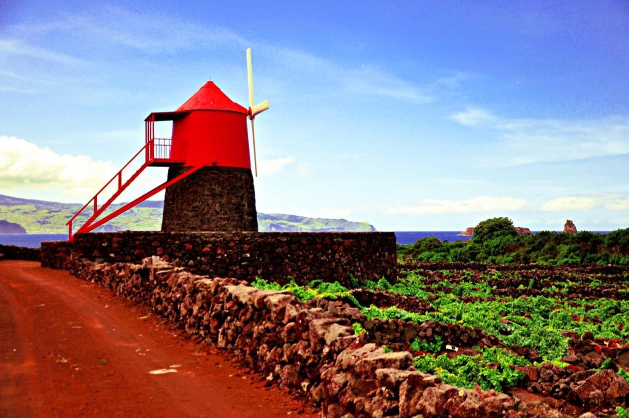 Casa Do Marcelino Lagarto Βίλα São Roque do Pico Εξωτερικό φωτογραφία