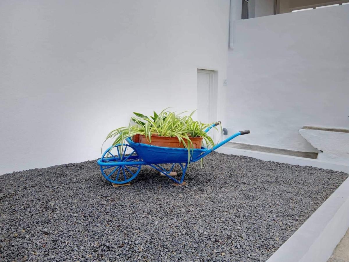 Casa Do Marcelino Lagarto Βίλα São Roque do Pico Εξωτερικό φωτογραφία